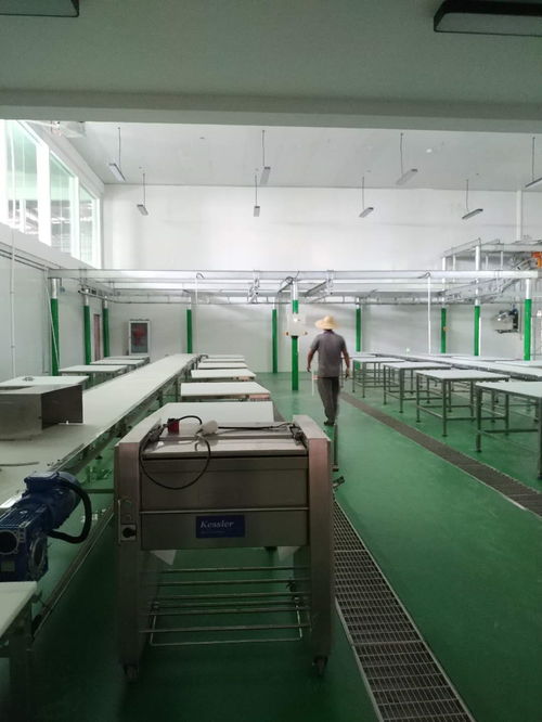 凱斯樂屠宰設備與肉類深加工設備成功落戶云南某廠，全面進入安裝調試階段