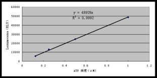 上海安普生物科技 專業激酶活性測定服務與實驗技術服務報價指南